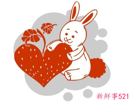 属兔运势及运程每月运程