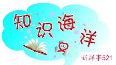 四年级家教需要注意什么