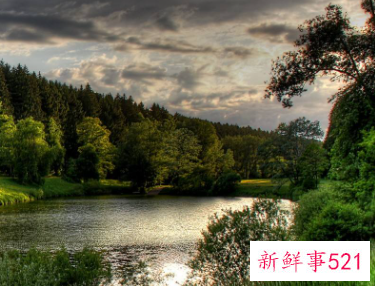 情商高的一句话签名