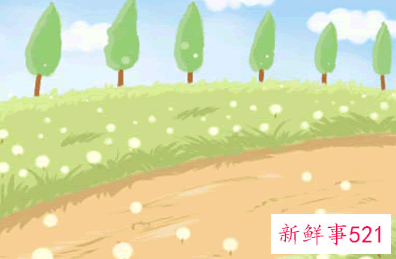 关于十三星座的资料