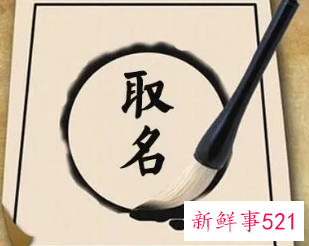 取名字为什么不能用什么