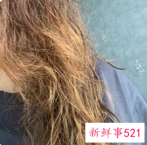 头发干枯毛躁做护理还是柔顺