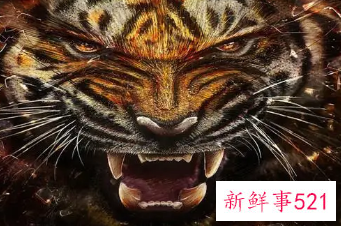 霸气二个字的网名大全