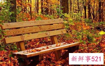 又污又有内涵的网名