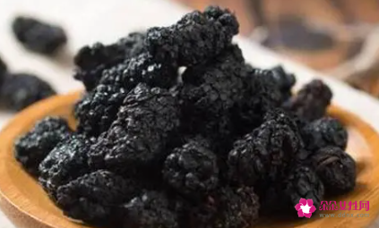 黑桑葚干的功效与作用