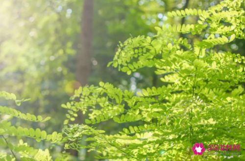 夏季天气好热的说说