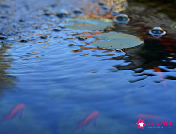 房屋西南角有水龙头好不好