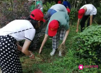 就业推荐表社会实践情况