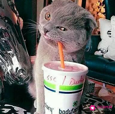 世界上最恐怖的笑话