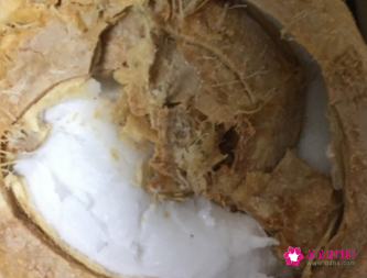 在家如何打开椰子