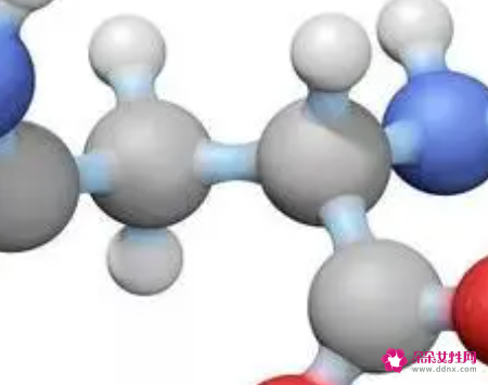 氨基酸的功效与作用有哪些的