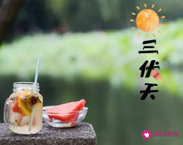 三伏天的节气