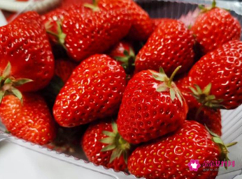 草莓怎么挑比较甜