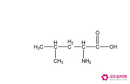 氨基酸的功效与作用有哪些的