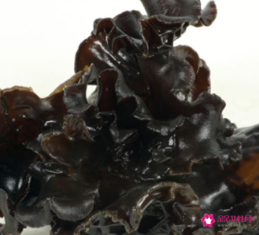 吃木耳的好处和坏处有哪些