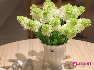 客厅餐桌上适合摆什么花