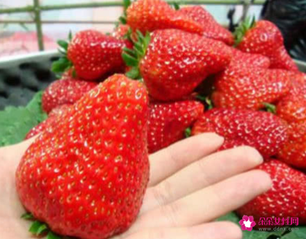 草莓怎么挑比较甜