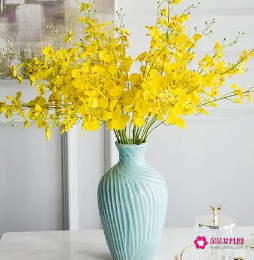 客厅餐桌上适合摆什么花