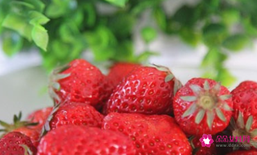 孕妇补铁必吃7大水果