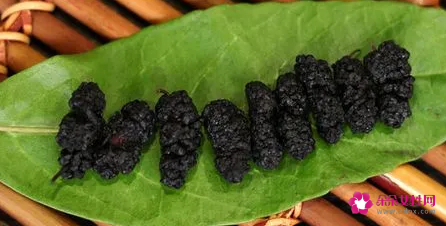 黑桑葚干的功效与作用