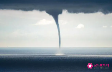 梦见龙卷风吸水是什么意思