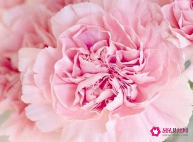 适合送给母亲节的礼物