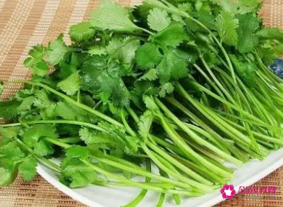 对身体有益的食物排行