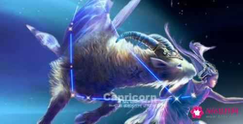 摩羯女性格超准分析