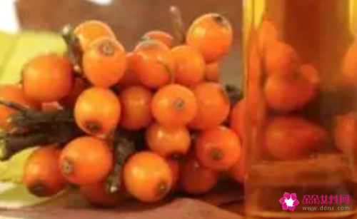 沙棘的营养价值有哪些