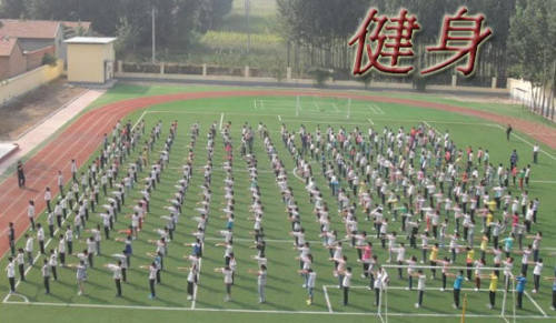 锻炼腰部的健身器材