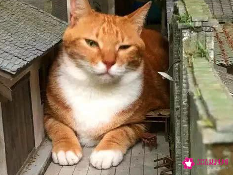 世界上最恐怖的笑话