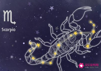 天蝎座属于什么星座