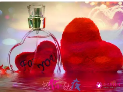 情人节句子经典语录