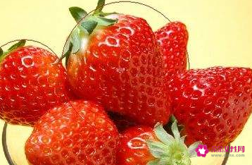 草莓怎么挑比较甜