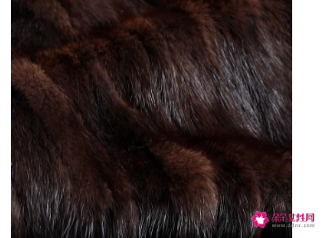 貂皮沾灰尘怎么办