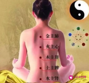 五脏对应后背反射区