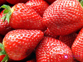 草莓和梨可以一起榨汁吗