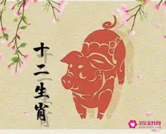 95年属猪的姻缘晚婚