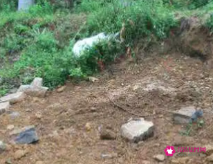 屋前有坟是吉是忌