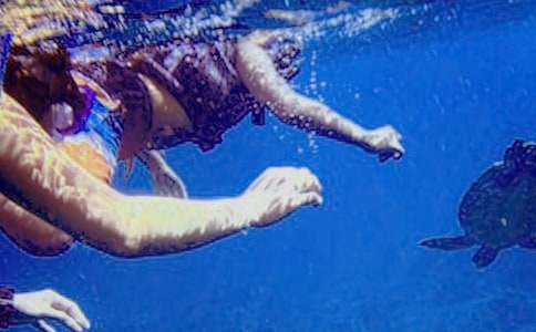 潜水后为什么不能按摩