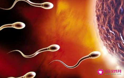 正常精子比例多少正常