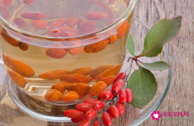 桑叶配枸杞功效与作用