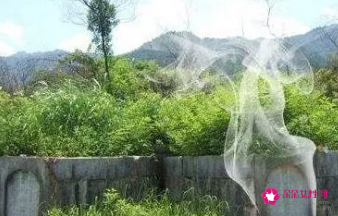 屋前有坟是吉是忌