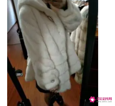 貂皮沾灰尘怎么办