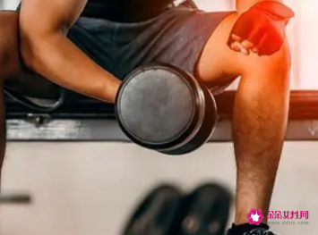 健身基本的动作