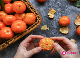 梦见送人桔子的寓意