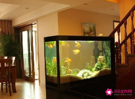 客厅金鱼缸的摆放图片欣赏