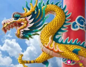 属相龙和什么属相好