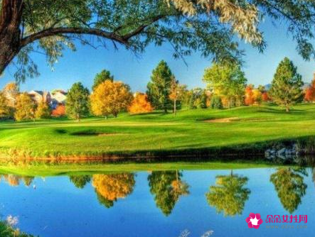 男人都是贱失去以后才会珍惜