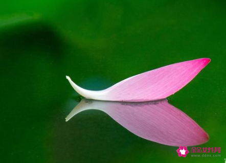 手机摄影技巧知识光线